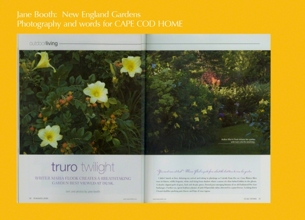 "You must come at dusk", was Truro author Maria Flook's invitation to her garden.   I didn't knock at first, delaying my arrival and taking in plantings as I strode from the car.  Casa Blanca lilies were in bloom, wildly fragrant, white and rising from ado where a statue of a lion lurked hidden in the gloom.